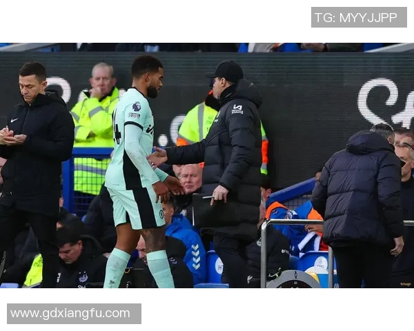 埃弗顿主场迎战西汉姆联双方争夺英超宝贵积分之战