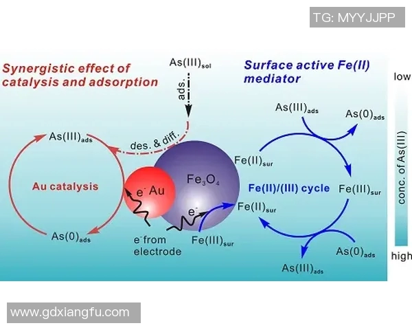 声速的测量方法与原理探讨及其在科学研究中的重要性分析