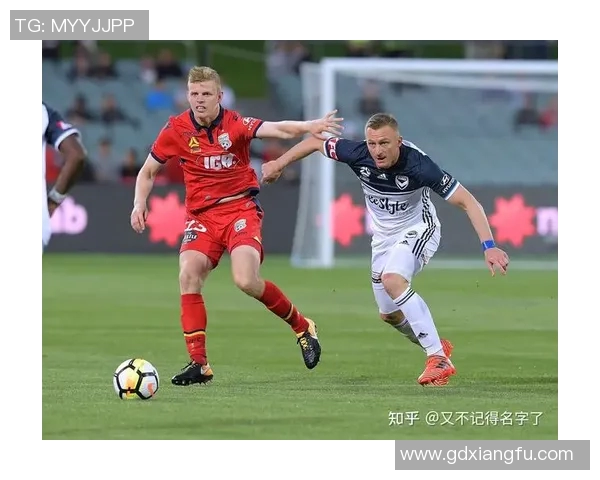 墨尔本城对西部联比赛分析与推荐策略分享